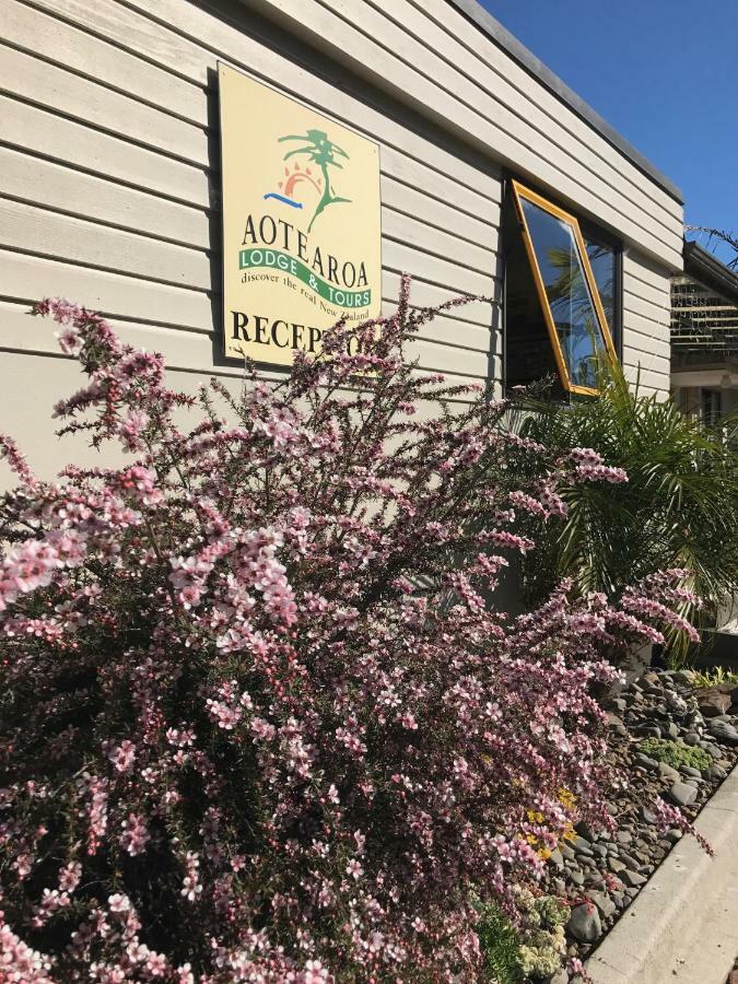Aotearoa alojamiento&Tours Whitianga Exterior foto